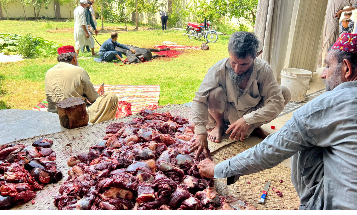 Qurbani Project